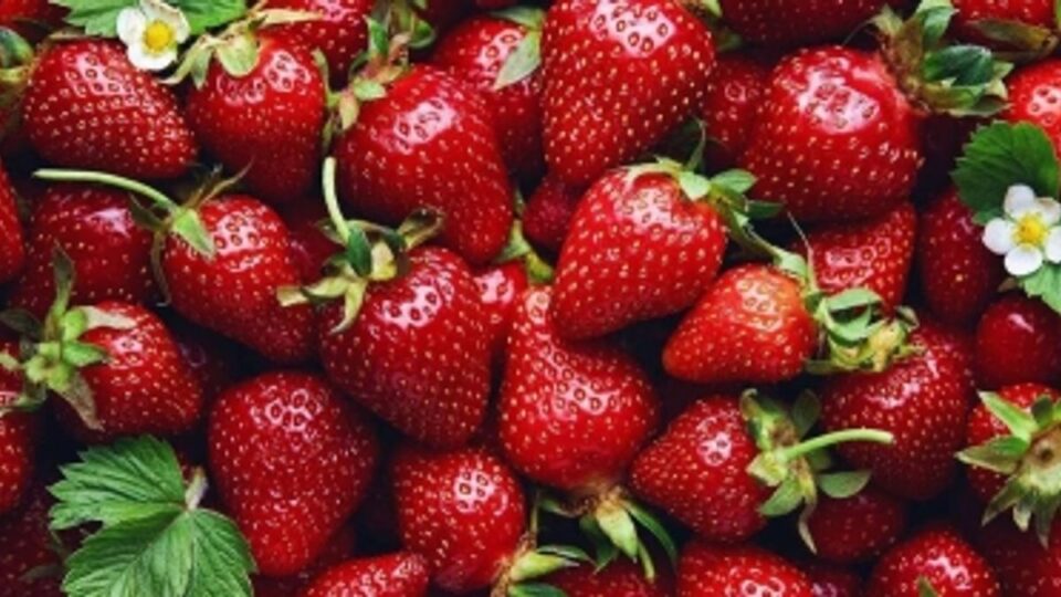 A3212d95f0c281a02b3f9f9a8bfec615